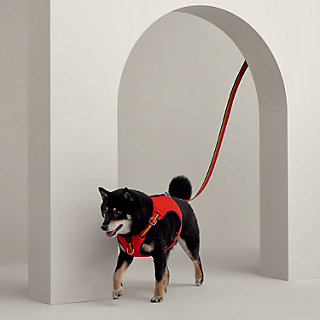 犬用ハーネス 《ジャンプ》 M&L | Hermès - エルメス-公式サイト 犬用ハーネス 《ジャンプ》 M&L | Hermès - エルメス-公式サイト